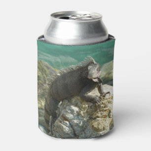 Iguana on the Rocks at St. Thomas Can Cooler