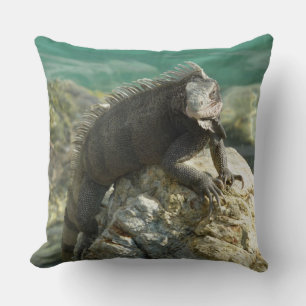 Iguana on the Rocks at St. Thomas Cushion