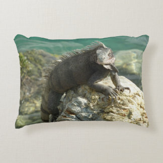 Iguana on the Rocks at St. Thomas Decorative Cushion