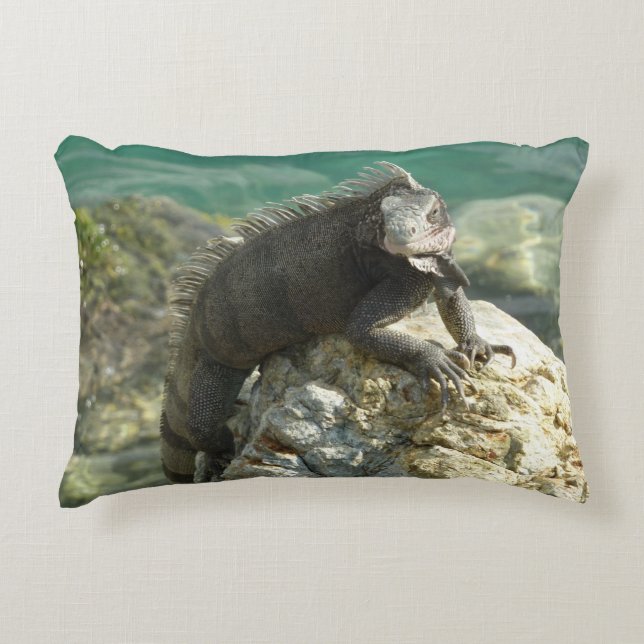 Iguana on the Rocks at St. Thomas Decorative Cushion (Front)