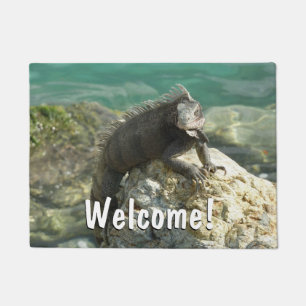Iguana on the Rocks at St. Thomas Doormat