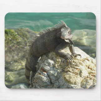 Iguana on the Rocks at St. Thomas Mouse Pad