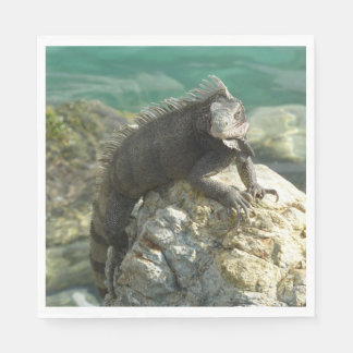 Iguana on the Rocks at St. Thomas Napkin