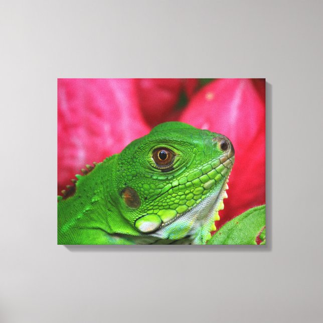 Iguana - pink and green canvas print (Front)