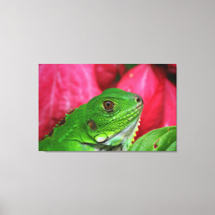Iguana - pink and green canvas print