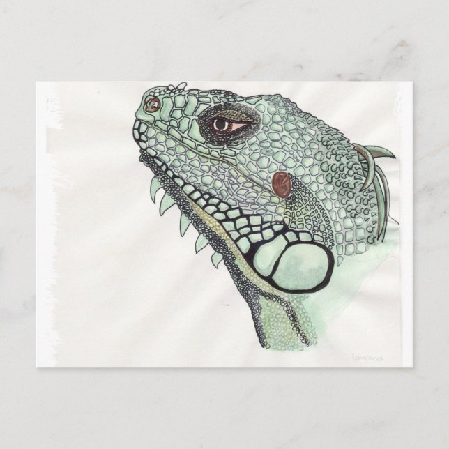 Iguana Postcard (Front)
