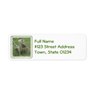 Iguana Return Address Label