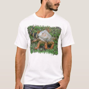 iguana Shirt