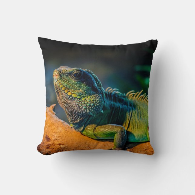 Iguana Square Throw Pillow (Front)