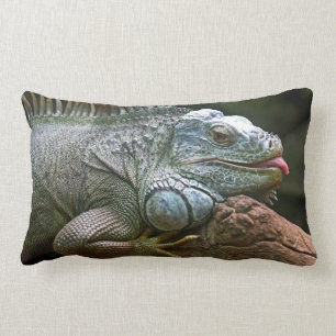 Iguana throw pillow