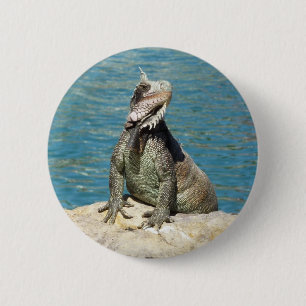 Iguana Tropical Wildlife Photography 6 Cm Round Badge