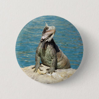 Iguana Tropical Wildlife Photography 6 Cm Round Badge