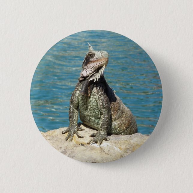 Iguana Tropical Wildlife Photography 6 Cm Round Badge (Front)