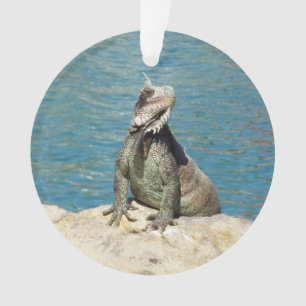 Iguana Tropical Wildlife Photography at St. Thomas Ornament