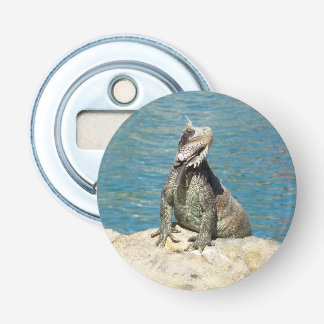 Iguana Tropical Wildlife Photography Bottle Opener