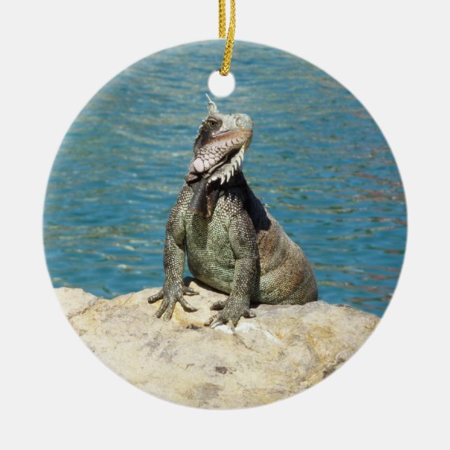 Iguana Tropical Wildlife Photography Ceramic Tree Decoration (Front)