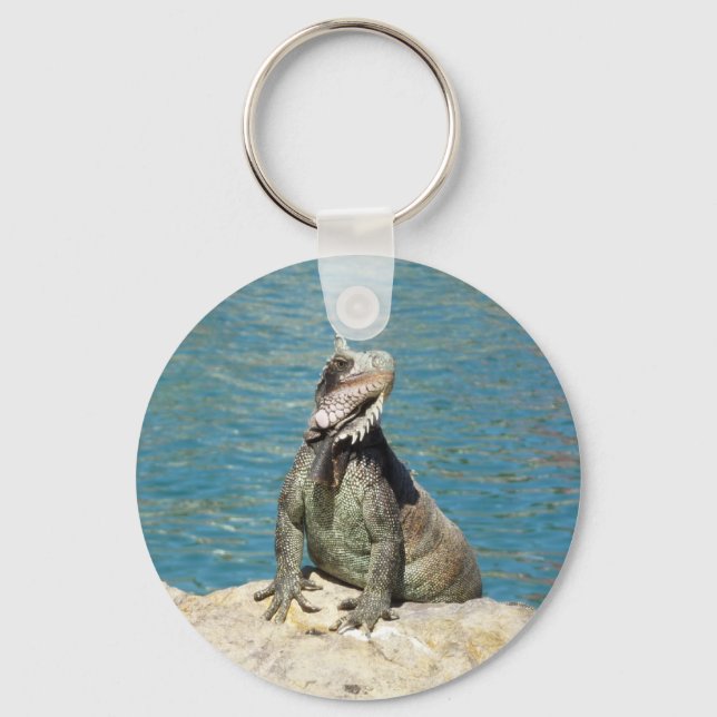 Iguana Tropical Wildlife Photography Key Ring (Front)