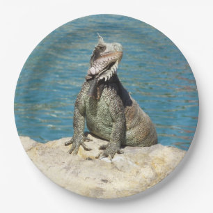 Iguana Tropical Wildlife Photography Paper Plate