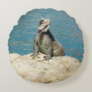 Iguana Tropical Wildlife Photography Round Cushion