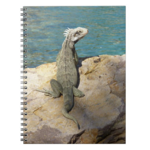 Iguana Tropical Wildlife Photography Spiral Notebook