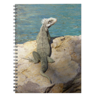 Iguana Tropical Wildlife Photography Spiral Notebook
