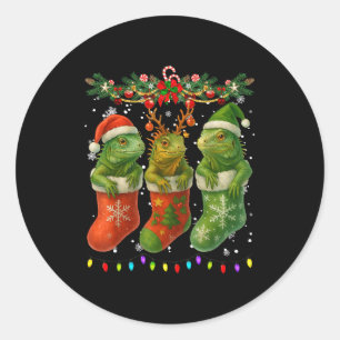 Iguanas In Christmas Socks Lights Iguanas Xmas  Classic Round Sticker