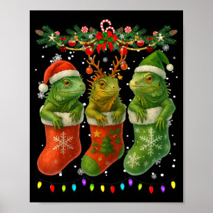 Iguanas In Christmas Socks Lights Iguanas Xmas  Poster