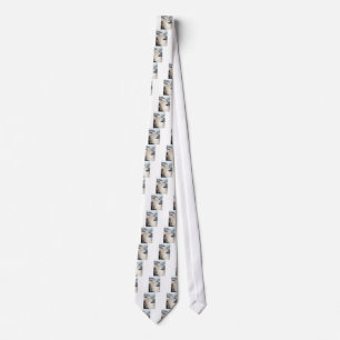 iguazu falls Brazill Tie