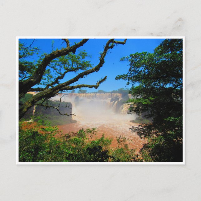iguazu falls waters postcard (Front)