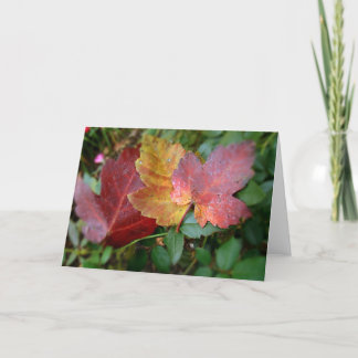 III leaves Card