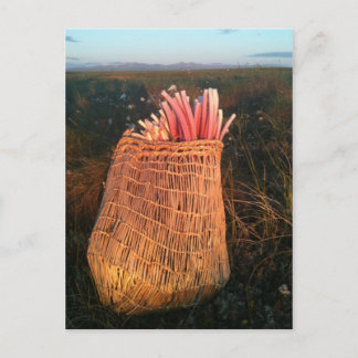 iitaat postcard