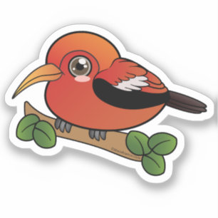 Iiwi Hawaii Forest Bird