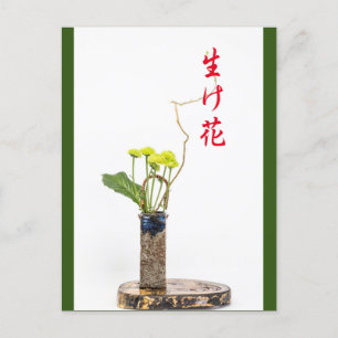 Ikebana Postcard