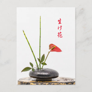 Ikebana Postcard