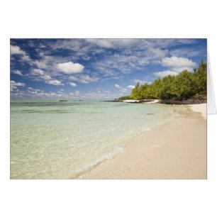 Ile Aux Cerf, most popular day trip for 2