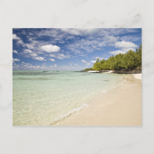 Ile Aux Cerf, most popular day trip for 2 Postcard