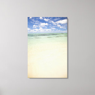 Ile Aux Cerf, most popular day trip for Canvas Print