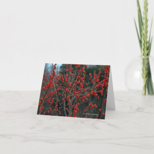 Ilex verticillata, winterberry card