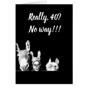 **I'LL BE A DONKEY'S UNCLE** YOU CAN'T BE *40*