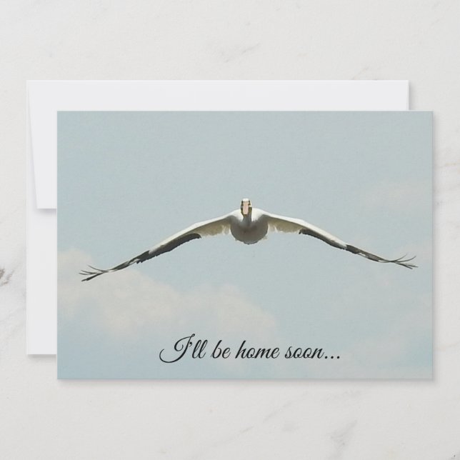 I'll be Home Soon, Pelican Flying  Card (Front)