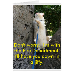 I'll have you down in a jiffy.