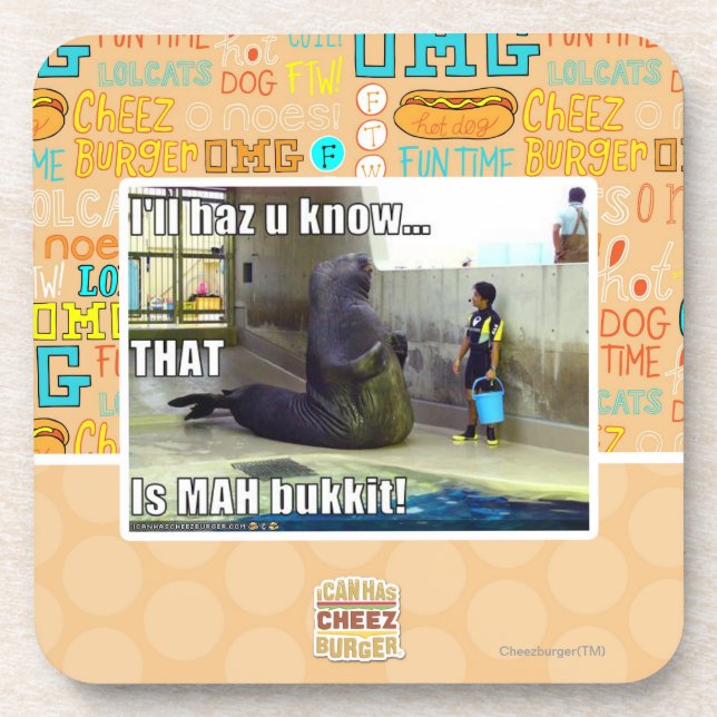 I'll haz u know coaster (Front)