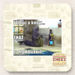 I'll haz u know coaster