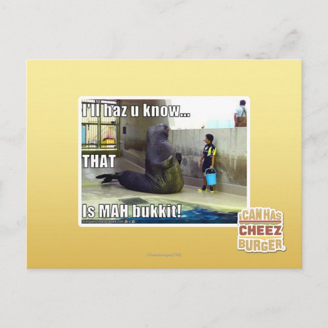 I'll haz u know postcard (Front)