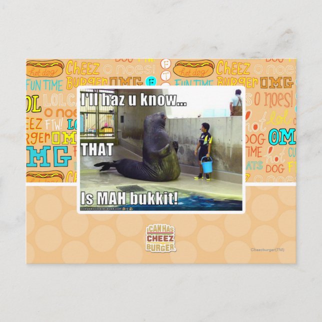 I'll haz u know postcard (Front)