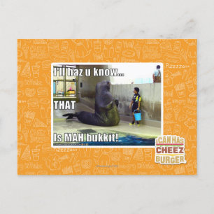 I'll haz u know postcard
