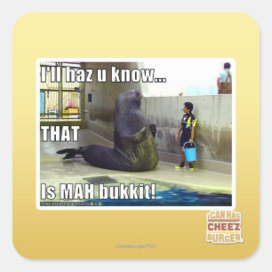 I'll haz u know square sticker