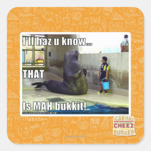 I'll haz u know square sticker