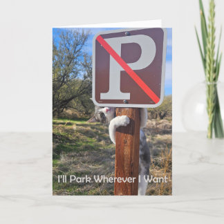 I'll Park Wherever I Want too Notecard