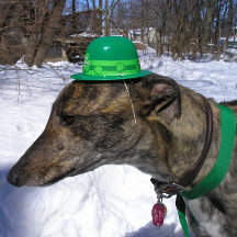 "I'll Race You!" Card